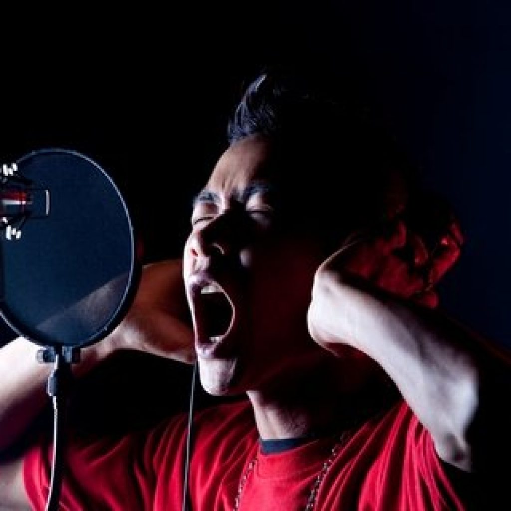 Whether your studio is for film, television, radio or music production; it is crucial that it is totally free from external noise. Any slight sound or disruption of the recording process can reduce the quality of, or even ruin, the end product.